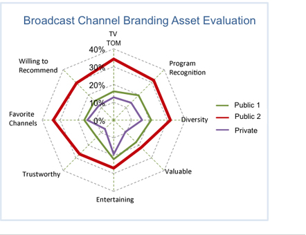 Broadcast Channel Branding Asset Evalution