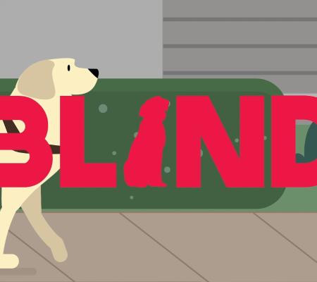 블라인드(Blind)